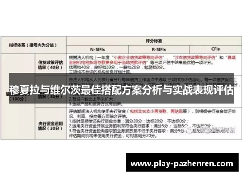 穆夏拉与维尔茨最佳搭配方案分析与实战表现评估