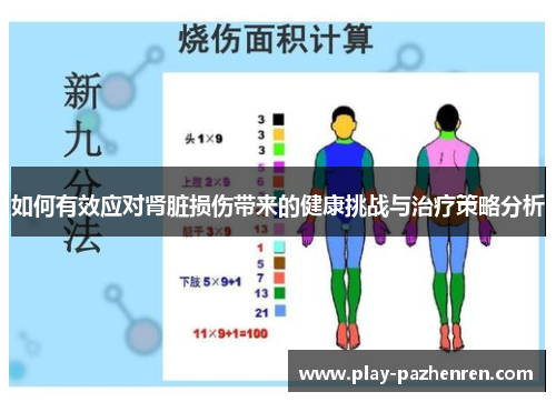 如何有效应对肾脏损伤带来的健康挑战与治疗策略分析 如何有效应对肾脏损伤带来的健康挑战与治疗策略分析