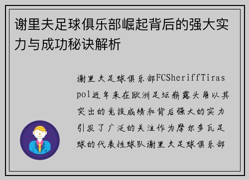 谢里夫足球俱乐部崛起背后的强大实力与成功秘诀解析 谢里夫足球俱乐部崛起背后的强大实力与成功秘诀解析