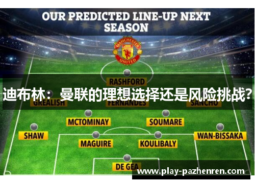 迪布林：曼联的理想选择还是风险挑战？