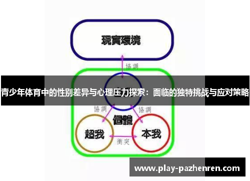 青少年体育中的性别差异与心理压力探索：面临的独特挑战与应对策略