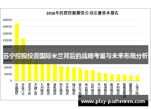 苏宁控股投资国际米兰背后的战略考量与未来布局分析 苏宁控股投资国际米兰背后的战略考量与未来布局分析