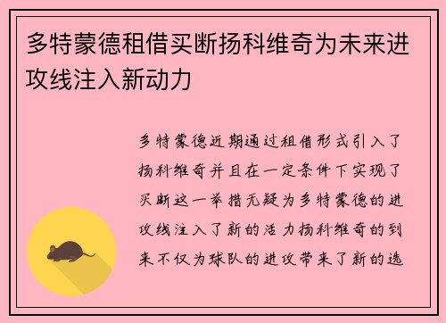 多特蒙德租借买断扬科维奇为未来进攻线注入新动力 多特蒙德租借买断扬科维奇为未来进攻线注入新动力