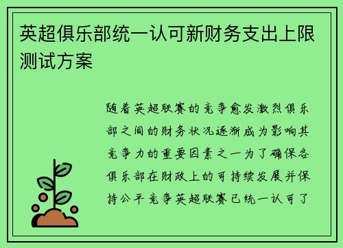 英超俱乐部统一认可新财务支出上限测试方案 英超俱乐部统一认可新财务支出上限测试方案